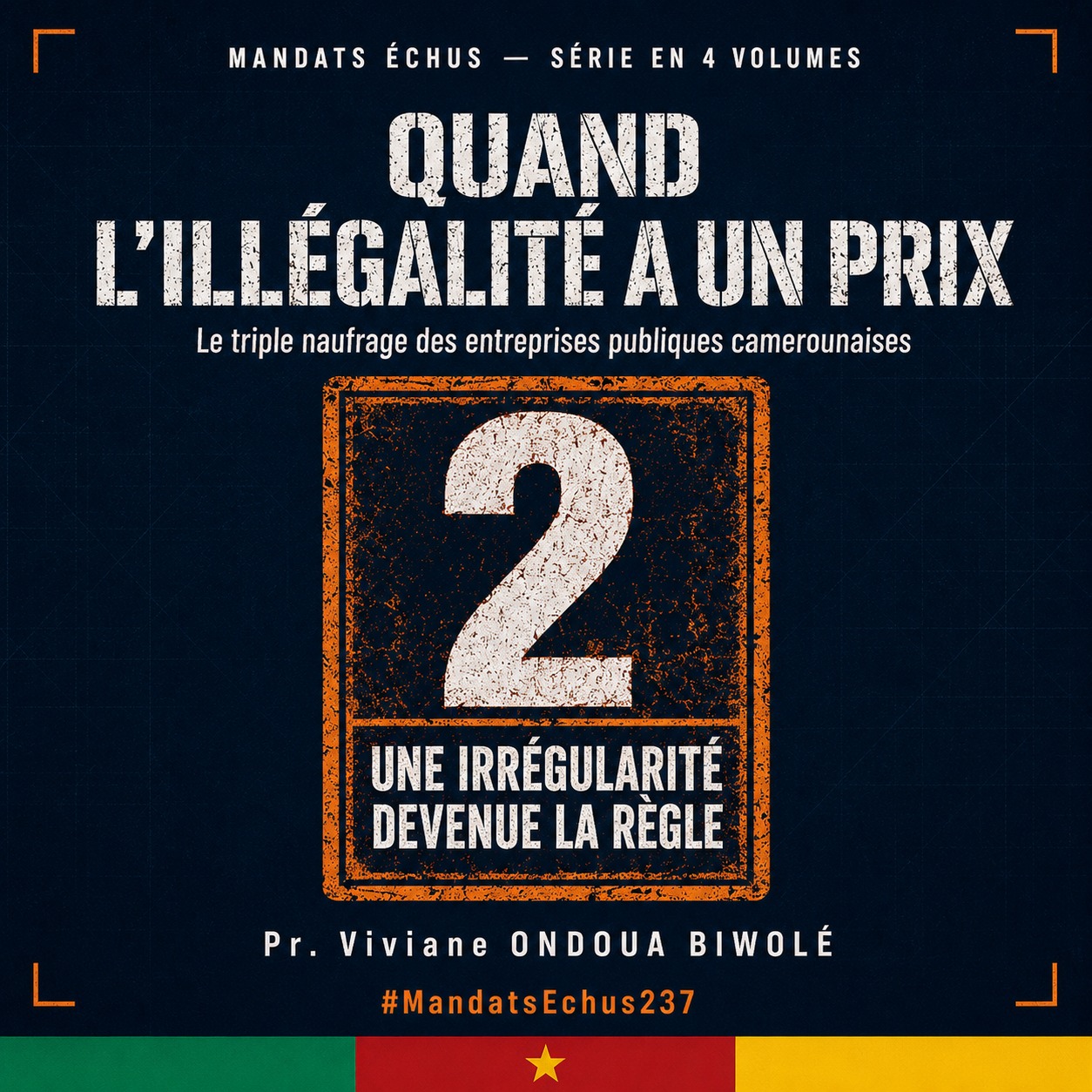 EBOOK 2 4 Une irregularite devenue la regle
